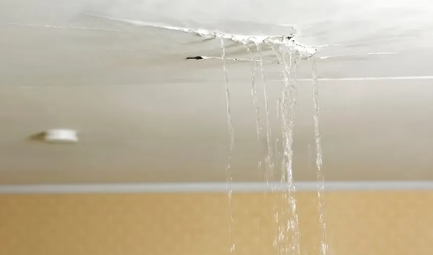 Wasserschaden Sanierung Frankfurt