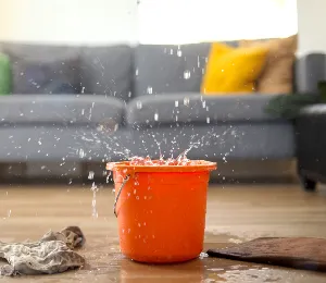 Wasserschadensanierung Gallus